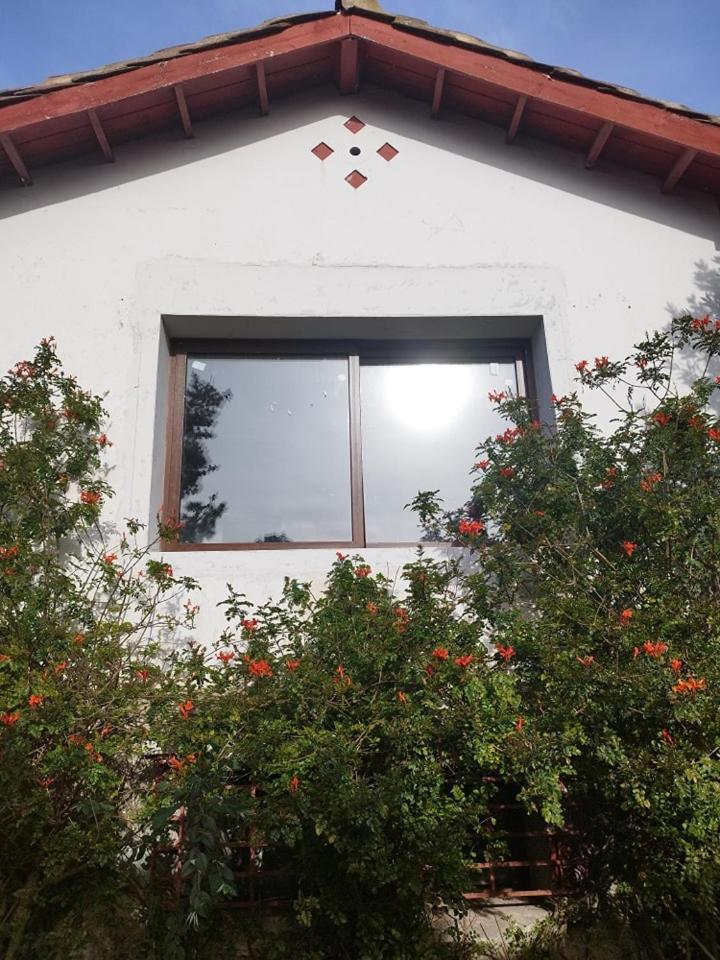 Gran Casa A Pasos De La Playa Algarrobo