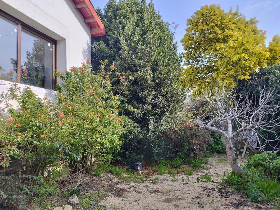 Gran Casa A Pasos De La Playa * Algarrobo