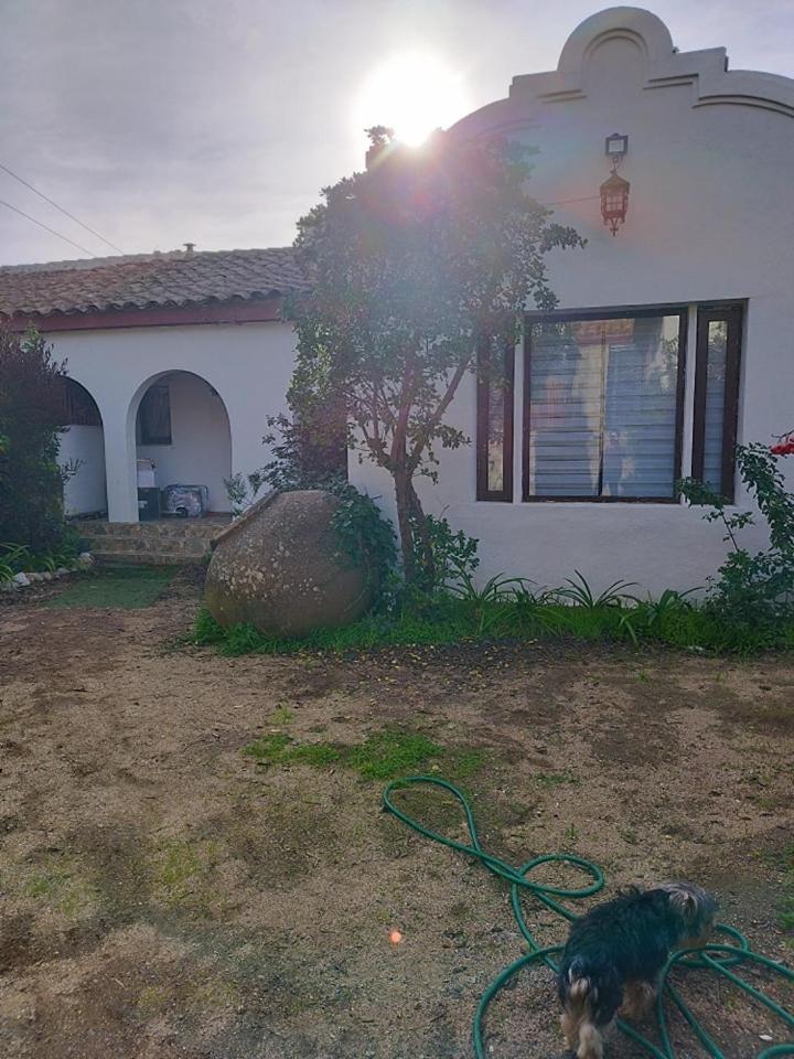 Gran Casa A Pasos De La Playa Casa de férias Algarrobo